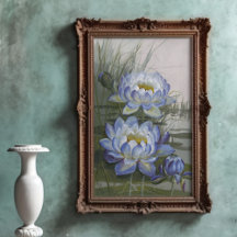 Ellis Rowan Blue Cloud Water Lily  Flowers