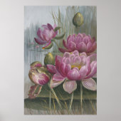 Ellis Rowan Pink Water Lily Flowers Poster (Voorkant)