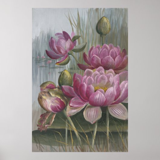 Ellis Rowan Pink Water Lily Flowers Poster (Voorkant)