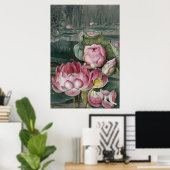 Ellis Rowan Sacred Lotus Water Lily  Flower Poster (Thuiskantoor)