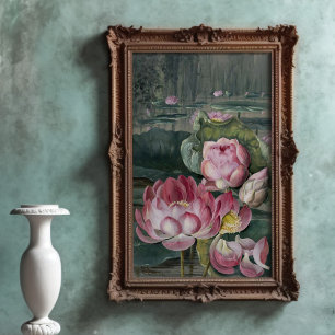 Ellis Rowan Sacred Lotus Water Lily  Flower Poster