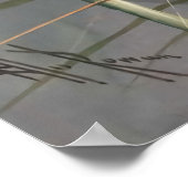 Ellis Rowan White Water Lily  Flowers Poster (Hoek)