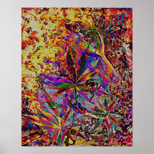 Elly Poster (Voorkant)