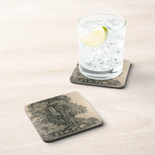 Elm-bomen in Old Hall Park, East Bergholt, 1817 (p Bier Onderzetter (Rechterzijde)