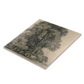 Elm-bomen in Old Hall Park, East Bergholt, 1817 (p Tegeltje (Zijkant)