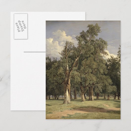 Elm-bomen in Prater, 1831 Briefkaart (Voorkant / Achterkant)