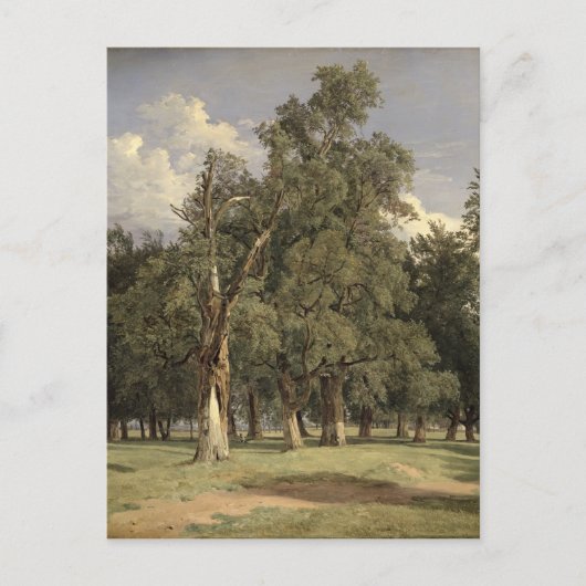 Elm-bomen in Prater, 1831 Briefkaart (Voorkant)