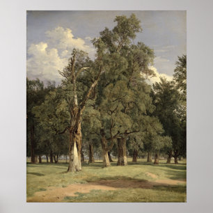 Elm-bomen in Prater, 1831 Poster