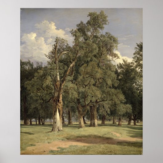 Elm-bomen in Prater, 1831 Poster (Voorkant)