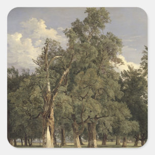 Elm-bomen in Prater, 1831 Vierkante Sticker