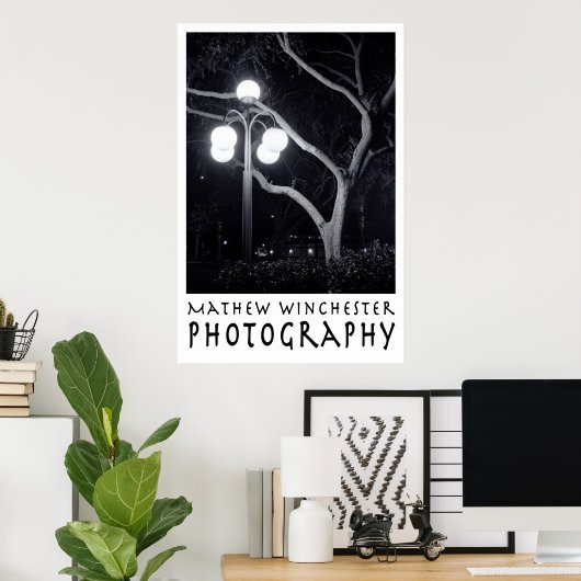 Elm en Lamppost Poster (Thuiskantoor)