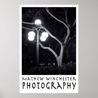 Elm en Lamppost Poster