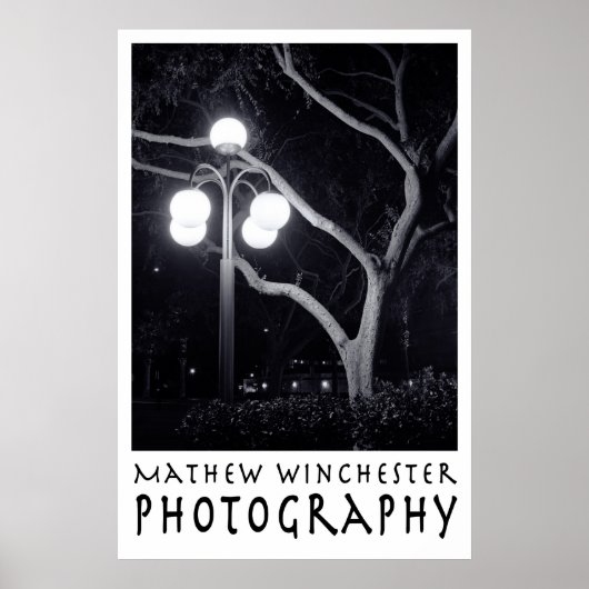 Elm en Lamppost Poster (Voorkant)