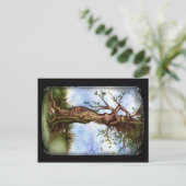 Elm Maid Briefkaart (Staand voorkant)