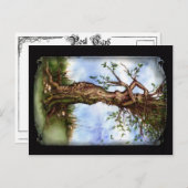 Elm Maid Briefkaart (Voorkant / Achterkant)