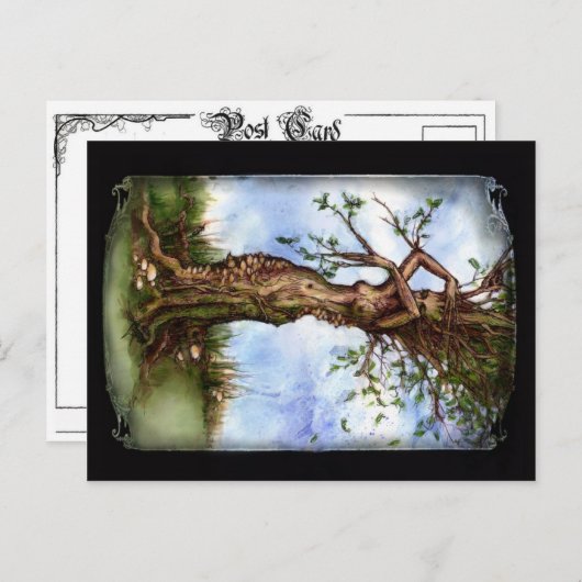 Elm Maid Briefkaart (Voorkant / Achterkant)