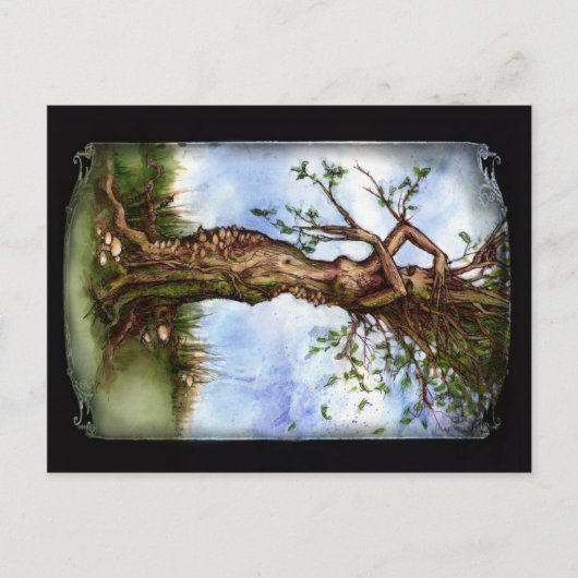 Elm Maid Briefkaart (Voorkant)