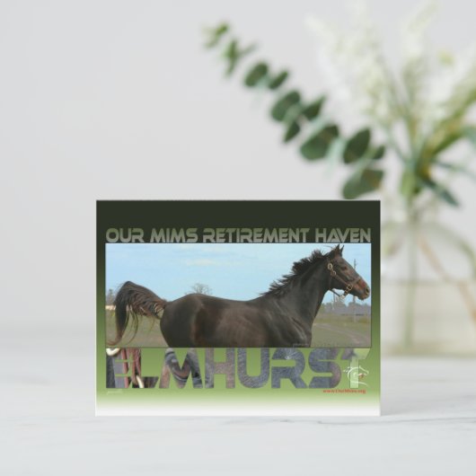 Elmhurst - '97 Foeders' Cup Sprint Winner Briefkaart (Staand voorkant)