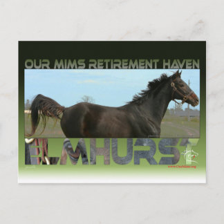 Elmhurst - '97 Foeders' Cup Sprint Winner Briefkaart
