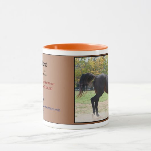 Elmhurst - '97 Foeders' Cup Sprint Winner Mok (Midden)