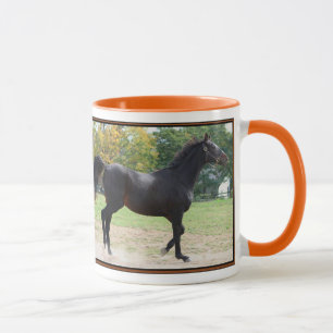 Elmhurst - '97 Foeders' Cup Sprint Winner Mok