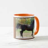 Elmhurst - '97 Foeders' Cup Sprint Winner Mok (Voorkant rechts)