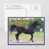 Elmhurst - "97 Foeders" Cup Winner Briefkaart (Voorkant / Achterkant)