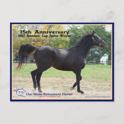 Elmhurst - "97 Foeders" Cup Winner Briefkaart (Voorkant)
