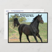 Elmhurst - de Winnaar van de Sprint van de Kop van Briefkaart (Voorkant / Achterkant)