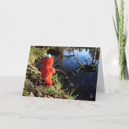 Elmo Plassend aan de waterrand. Bedankkaart