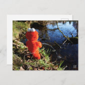 Elmo Plassend aan de waterrand. Briefkaart (Voorkant / Achterkant)