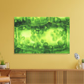 Elodea Plant cellen Canvas Afdruk (Insitu (Woonkamer))