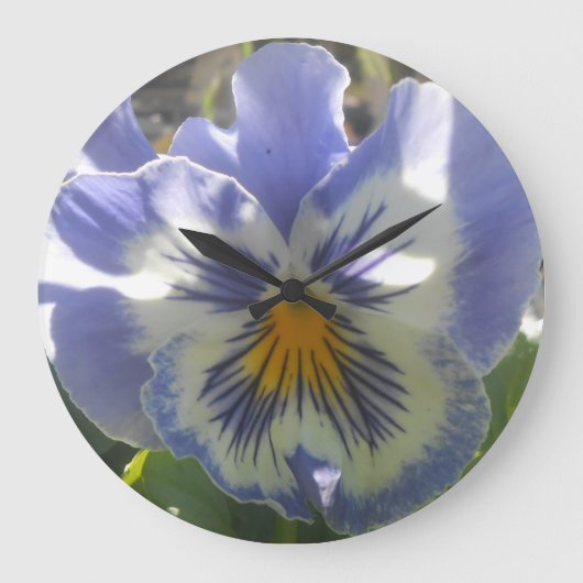 Eloise Grote Klok (Voorkant)