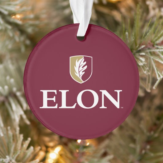 Elon Ornament (Boom)