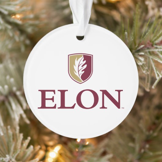 Elon Ornament (Boom)