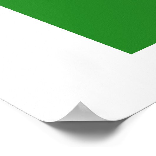 Eloquent Elusor Release Poster (Hoek)