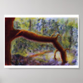 Elora Gorge, Poster (Voorkant)