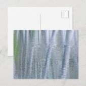 Els | Bainbridge Island, WA Briefkaart (Voorkant / Achterkant)