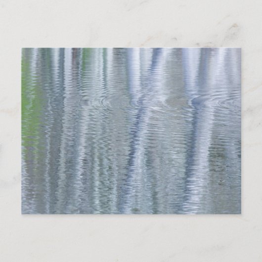 Els | Bainbridge Island, WA Briefkaart (Voorkant)