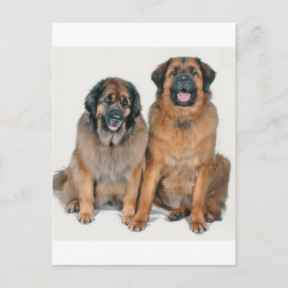 Elsa en Wellington Briefkaart