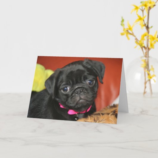 Elsa Kaart (Gele Bloem)