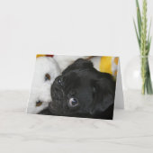 Elsa & Teddy Kaart (Voorkant)