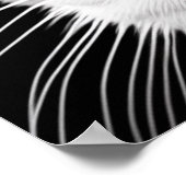 Elsa's ogen poster (Hoek)