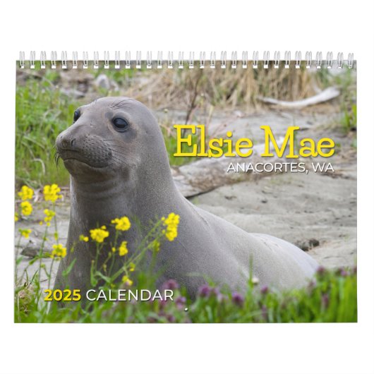ELSIE MAE 2025 - SLEEPBOOTPARK - SKYLINE ANACORTES KALENDER (Hoes)