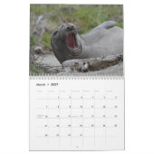 ELSIE MAE 2025 - SLEEPBOOTPARK - SKYLINE ANACORTES KALENDER (Mar 2027)