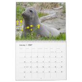 ELSIE MAE 2025 - SLEEPBOOTPARK - SKYLINE ANACORTES KALENDER (Jan 2027)