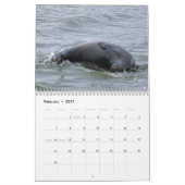 ELSIE MAE 2025 - SLEEPBOOTPARK - SKYLINE ANACORTES KALENDER (Feb 2027)