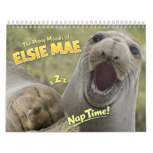 Elsie Mae Anacortes Washington