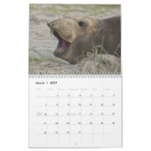 Elsie Mae Anacortes Washington Kalender (Mar 2027)