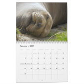 Elsie Mae Anacortes Washington Kalender (Feb 2027)